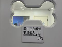-天使宠物医院·犬猫分诊(彩虹店)