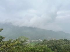 -三亚亚龙湾人间天堂鸟巢度假村