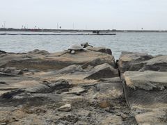景点-在海一方公园