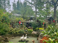 -青城甲(青城山店)