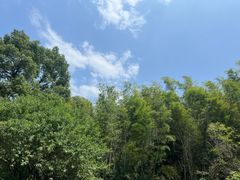 -东林大峡谷