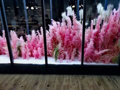 -拈菜(观音桥阳光世纪店)