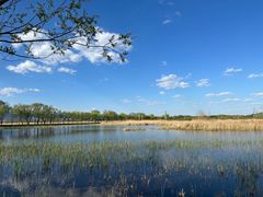 -野鸭湖国家湿地公园