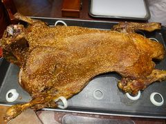 -九十九顶毡房(阜石路店)