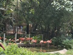 -深圳野生动物园
