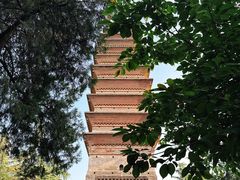 -洛阳白马寺