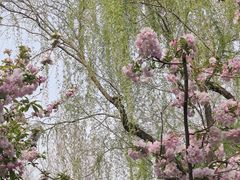 -泉城广场