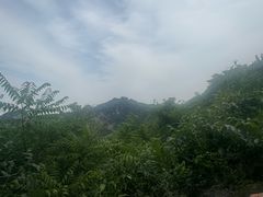 -少华山国家森林公园