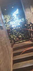 -T.1 hair salon烫染接发