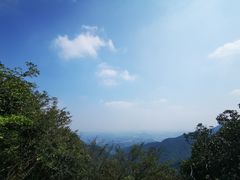 -午潮山国家森林公园