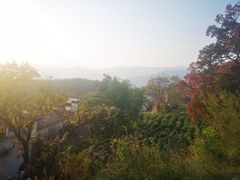 -塔川景区