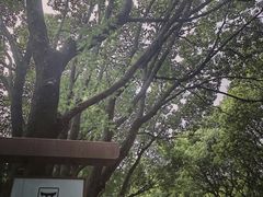 -同里国家湿地公园