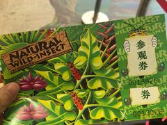 -上海大自然野生昆虫馆(东方明珠·爬宠昆虫探索中心)