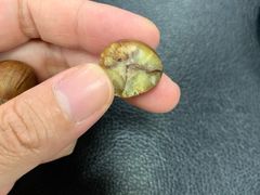 -金栗王(清扬路店)