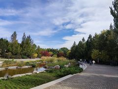 -大望京公园