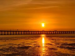 -宝安西湾红树林湿地公园