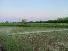 -永定河休闲森林公园