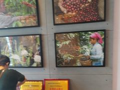 -同步齿科·数字化正畸种植口腔中心(珠海店)