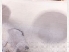 -momokira米努特·德文卷毛猫·棉花面纱犬