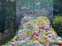 -上海共青森林公园