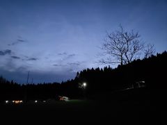 -武陵山森林公园