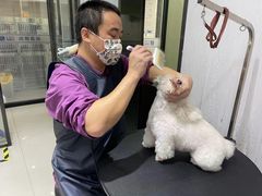 -宠颐生动物医院·小陆分院