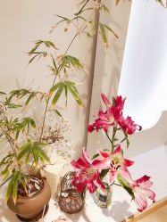 -Yue Show馨选·半永久纹眉纹眼线