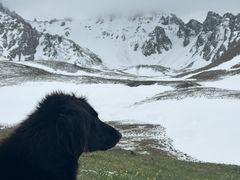 -新疆那拉提国家旅游度假区