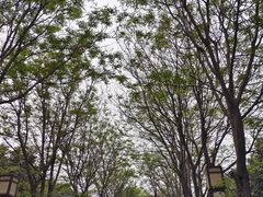 -洛阳市隋唐城遗址植物园