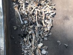 -彩虹桥宠物火化殡葬善终服务(金乐大厦店)