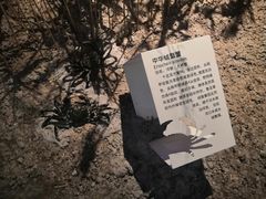-上海长江河口科技馆