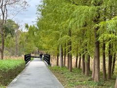 -昆山城市生态森林公园