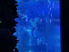 -波塞冬旅游度假区