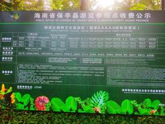 -呀诺达热带雨林