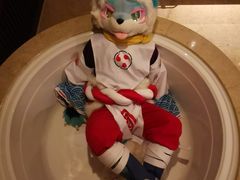 -天目湖御水温泉·度假酒店