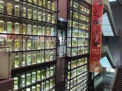 -广东中医药博物馆