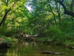 -崂山九水游览区