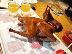 红烧鸽-大鸽饭(岗顶店)