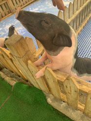 -萌宠亲子动物乐园(槐房万达店)