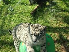 -青藏高原野生动物园