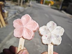 -北京凤凰岭