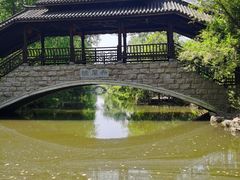 -合肥滨湖国家森林公园