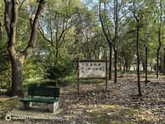 -大宁公园