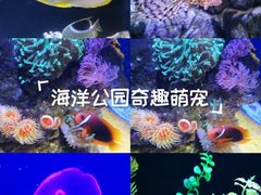 -成都浩海立方海洋公园