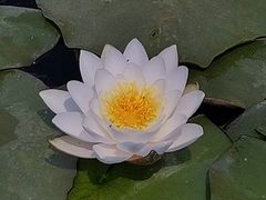 -前关湿地公园