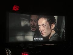 -枫花园汽车电影院(朝阳公园店)