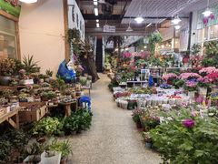 -双季花艺园艺市场(浦东店)