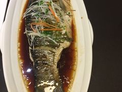 -隐山栖(鸿泰佳园店)