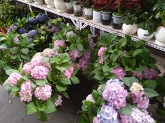 -沃尔玛购物广场(霖雨路店)