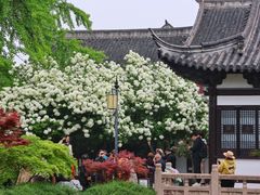 -常熟方塔园
